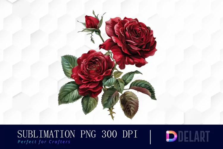 Vintage Painted Red Roses Watercolor Clipart