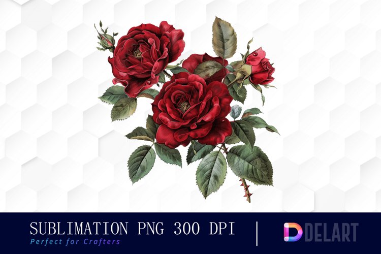 Vintage Painted Red Roses Watercolor Clipart