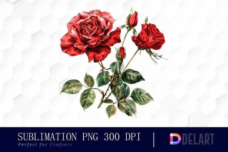 Vintage Painted Red Roses Watercolor Clipart