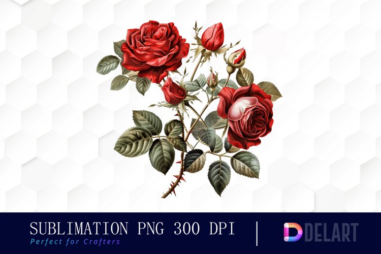Vintage Painted Red Roses Watercolor Clipart