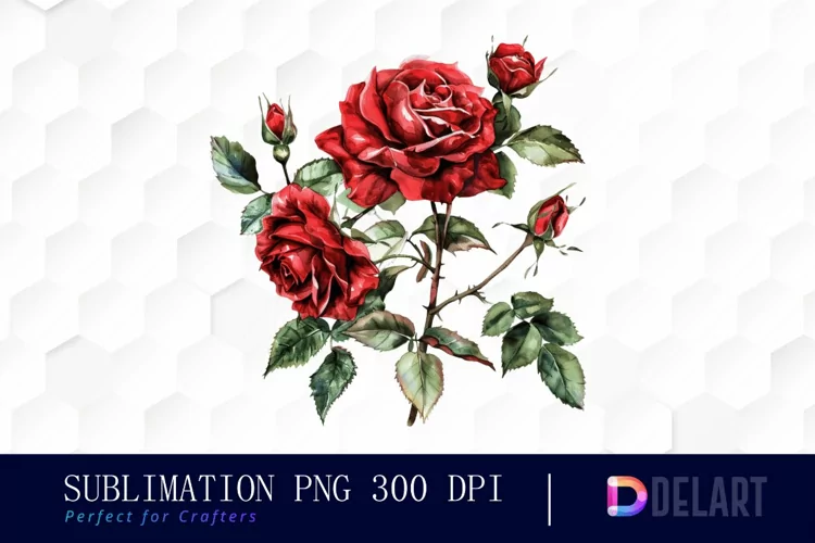 Vintage Painted Red Roses Watercolor Clipart