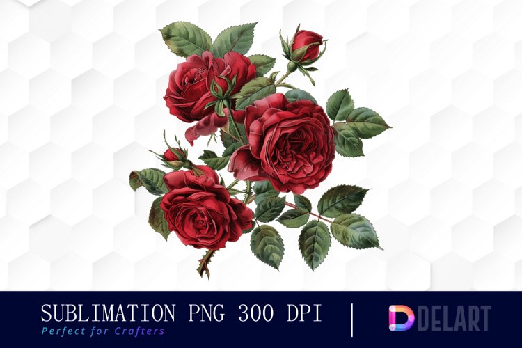 Red Roses Clipart