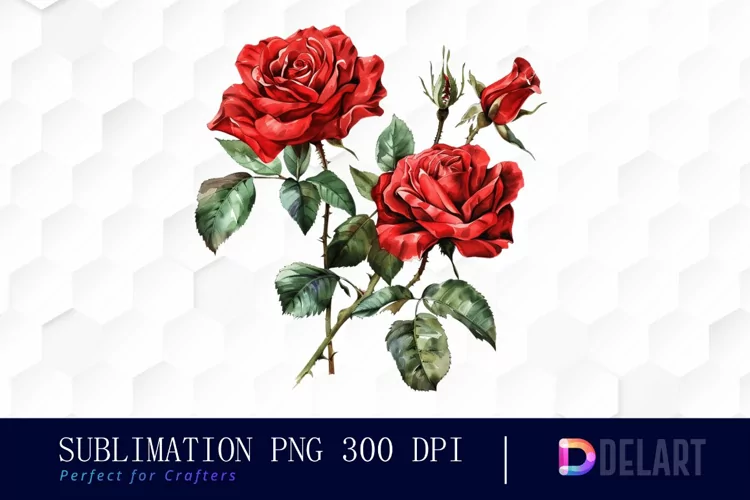 Vintage Painted Red Roses Watercolor Clipart