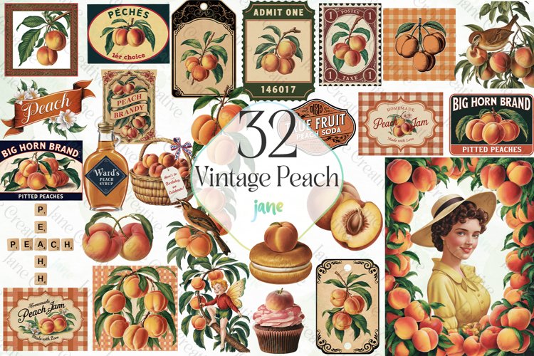 Peach Illustration Image 18