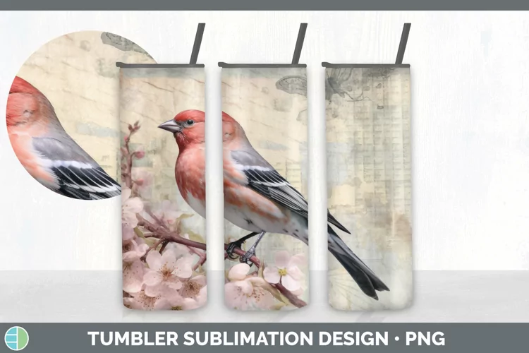 Vintage Pine Grosbeak Bird Tumbler | Sublimation 20 oz Skinn