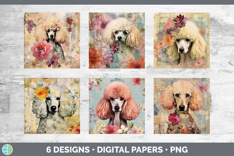 Dog Background Image 11