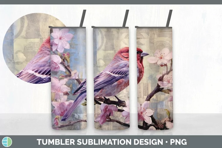 Vintage Purple Finch Bird Tumbler | Sublimation 20 oz Skinny
