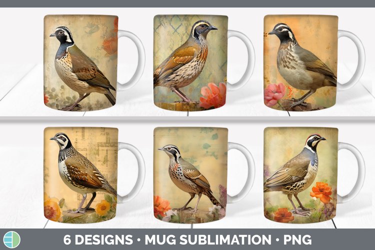 Quail Clipart Image 13
