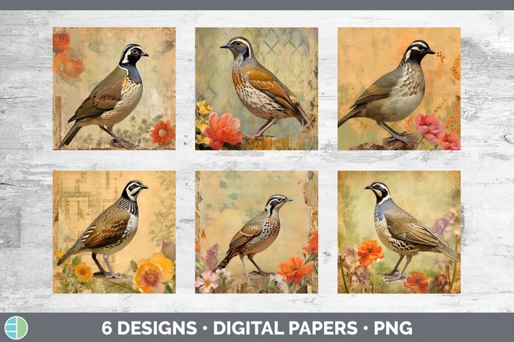 Quail Clipart Image 24