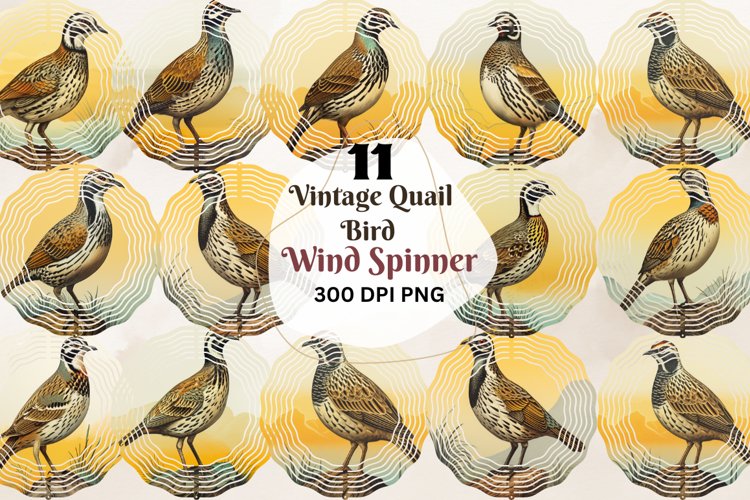 Quail Clipart Image 20