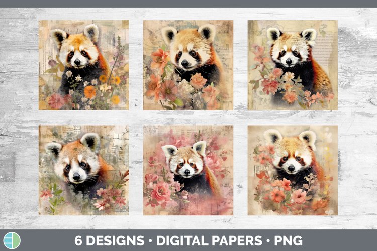 Red Panda Clipart Image 21