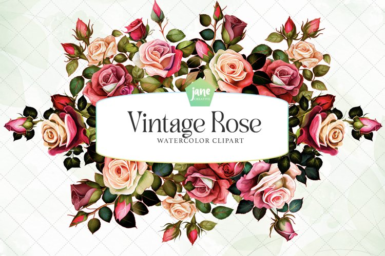 Vintage Rose Watercolor Sublimation Clipart