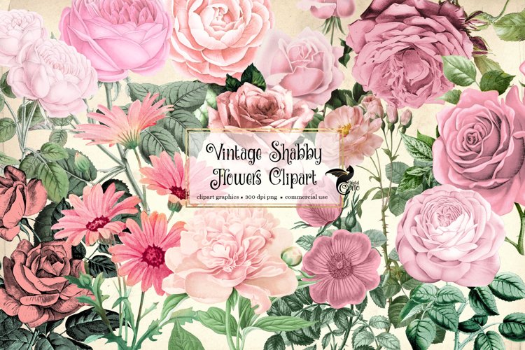 Vintage Shabby Flowers Clipart example image 1