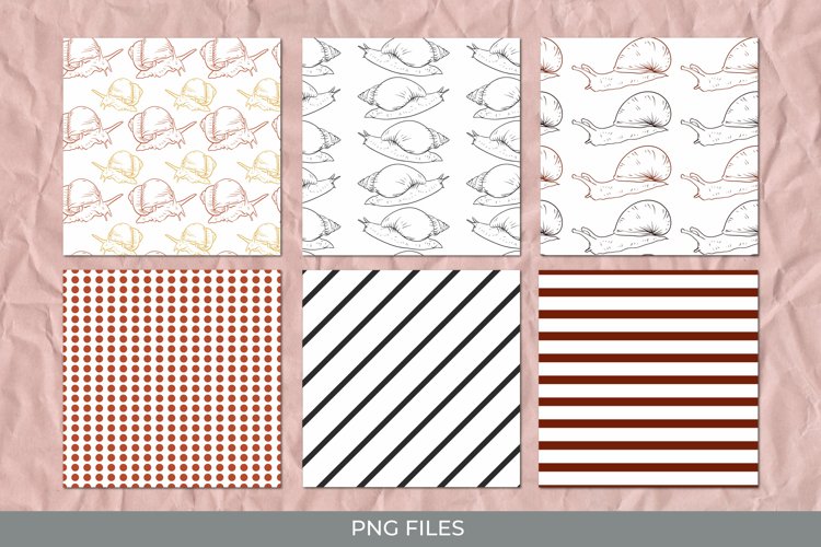 Snail Png Image 23