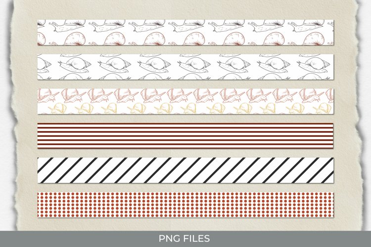 Snail Png Image 18