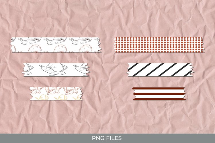 Snail Png Image 2