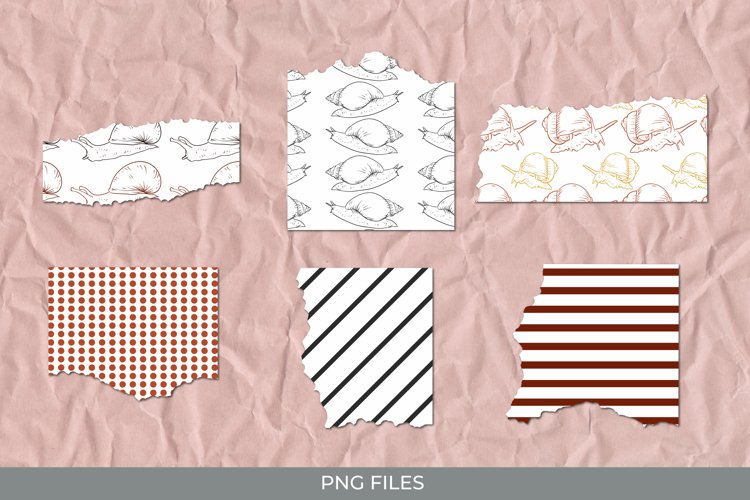 Snail Png Image 17