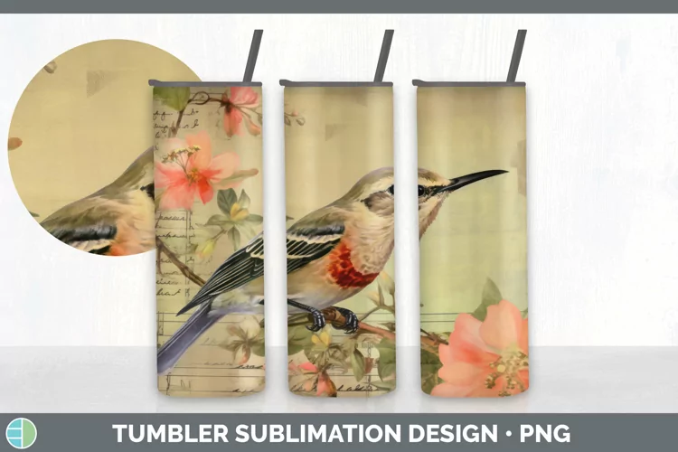 Vintage Swift Bird Tumbler | Sublimation 20 oz Skinny Tumble