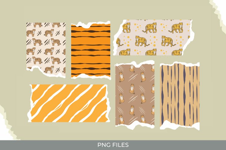 Tiger PNG Image 12