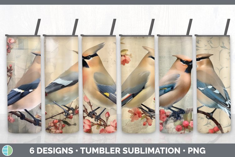 Vintage Waxwing Bird Tumbler | Sublimation 20 oz Skinny Tumb