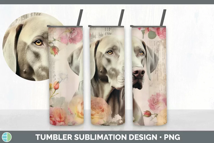 Vintage Weimaraner Dog Tumbler | Sublimation 20 oz Skinny Tu