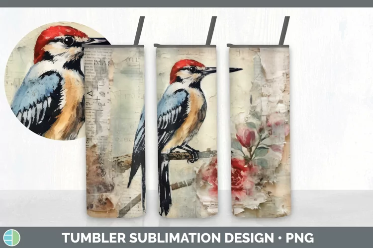 Vintage Woodpecker Bird Tumbler | Sublimation 20 oz Skinny T