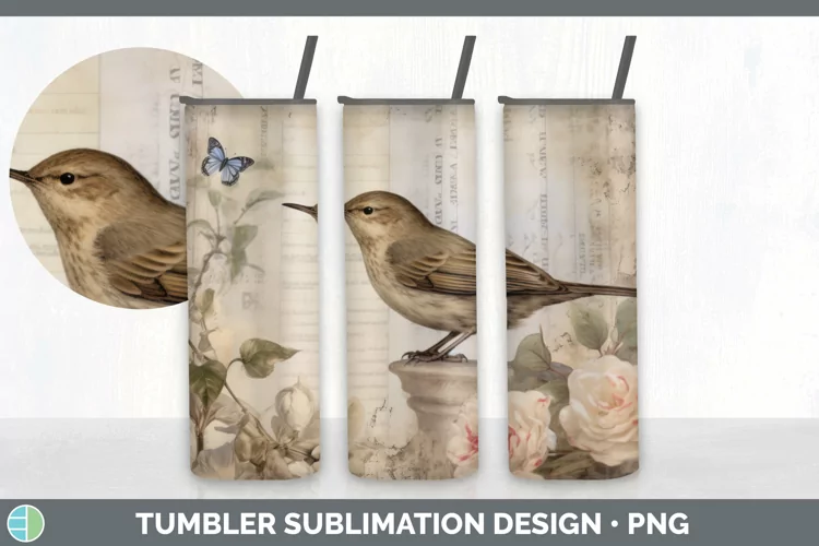Vintage Wren Bird Tumbler | Sublimation 20 oz Skinny Tumbler