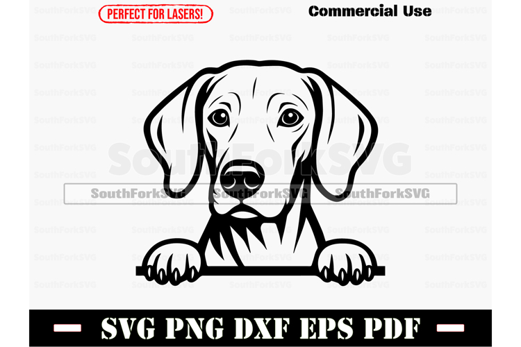 Hunting Dog Svg