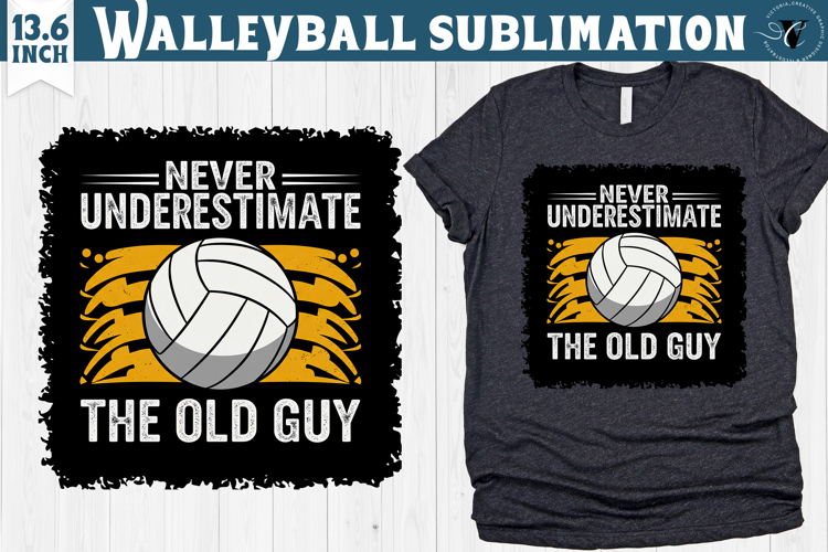 Volleyball Graphics Image 17