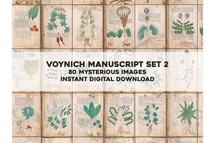 The Voynich Manuscript Set 2: 80 Undecipherable Images