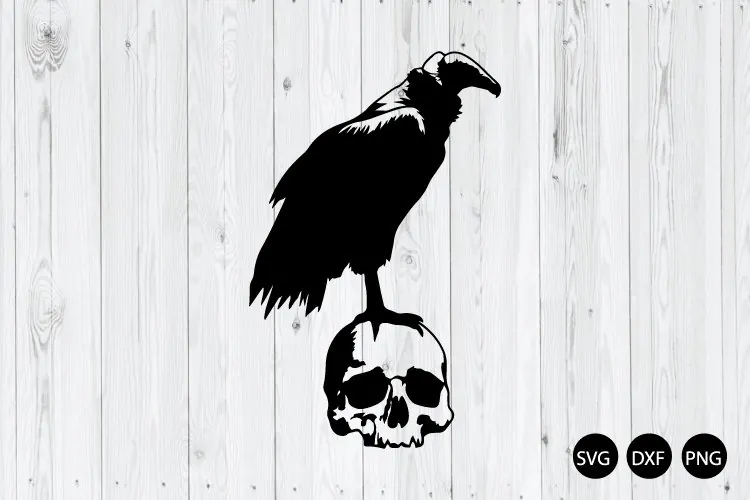 Vulture Skull SVG, Gothic Scavenger Bird SVG