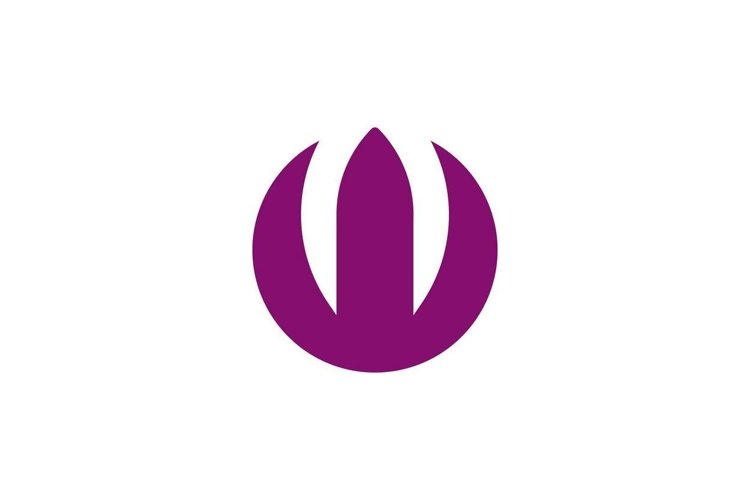 W Letter Logo Image 12