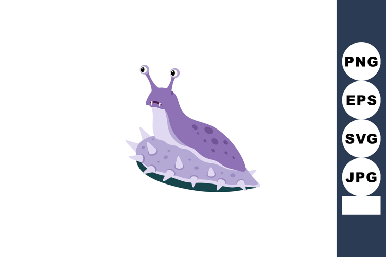 Shell Illustration Image 20