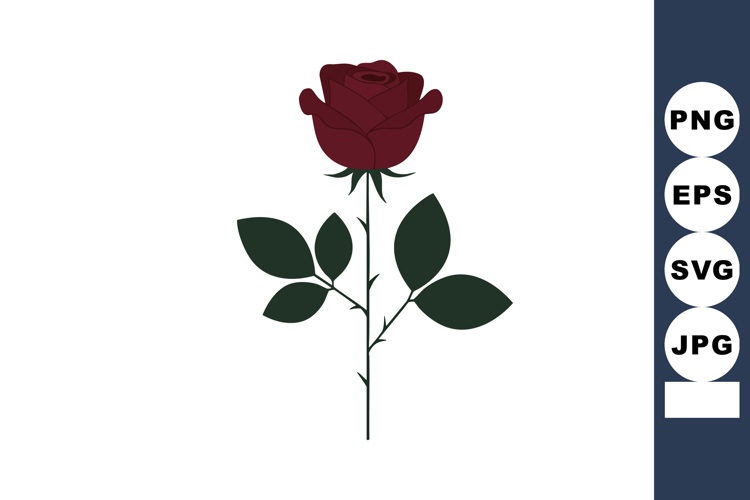 Rose flower with dark red petals and green leaves vector ill