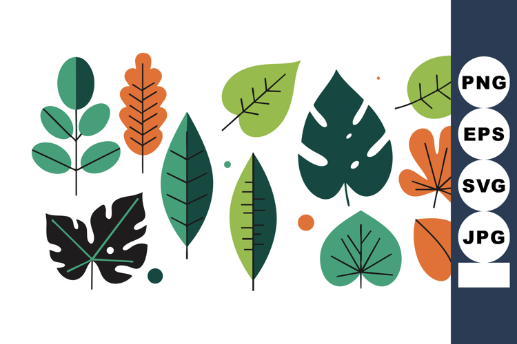 Nature Illustration Image 14