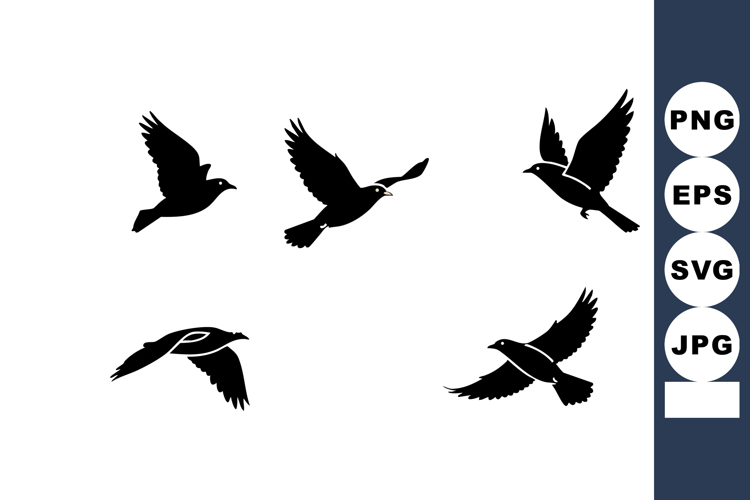 Flying bird silhouettes in various poses black vector illust
