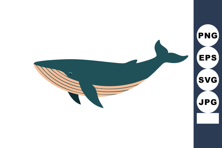 Whale Illustration Image 14