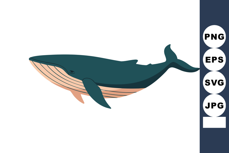 Marine Clipart Image 10