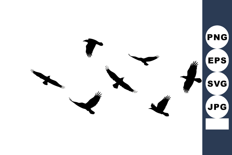 Flying birds silhouette vector illustration in black and whi