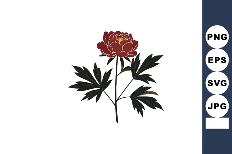 Peony Clipart Image 12