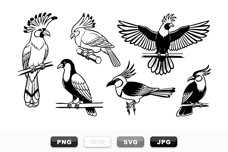 Bird Graphic Image 5