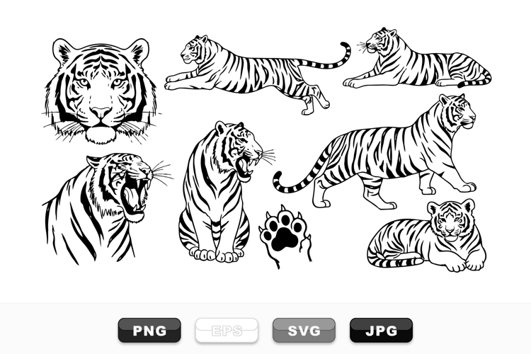 Animal Drawing Image 20