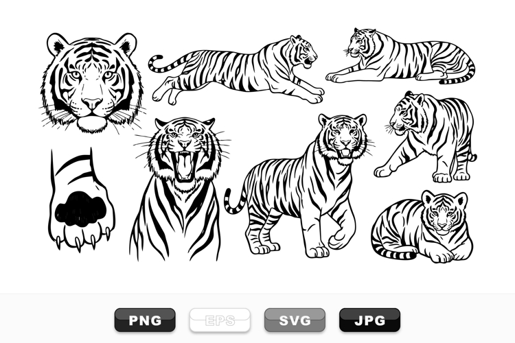 Hand Drawn Tiger Vector Clipart Set For Wildlife Art