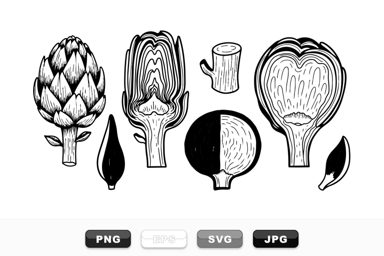 Hand Drawn Artichoke Botanical Clipart Bundle