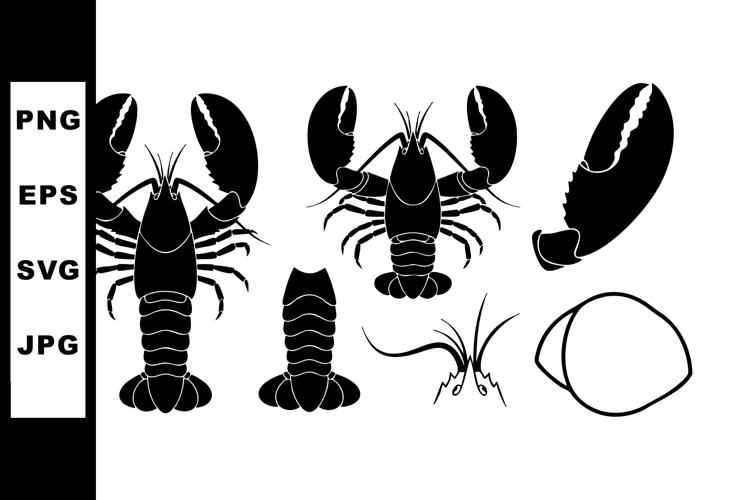 Lobster Illustration Image 9