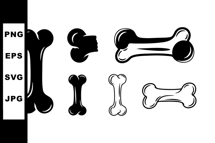 Bone Illustration Image 7