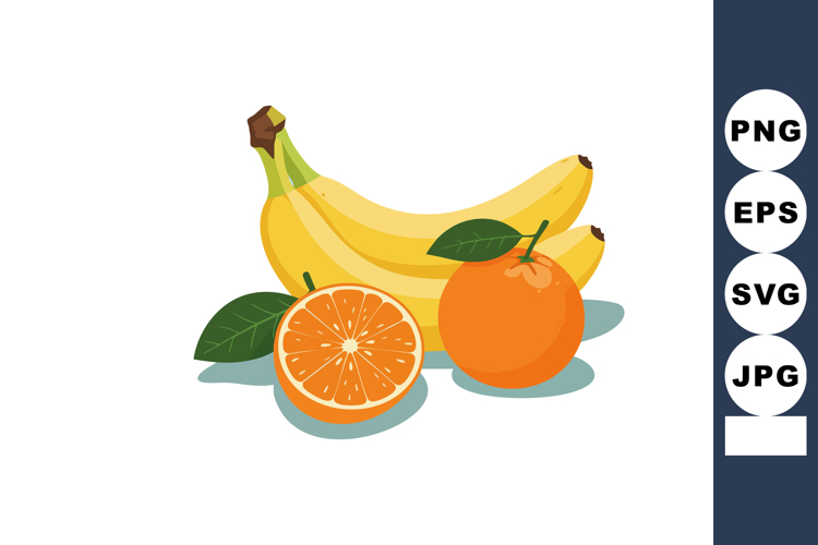 Fruit Vector Image 18