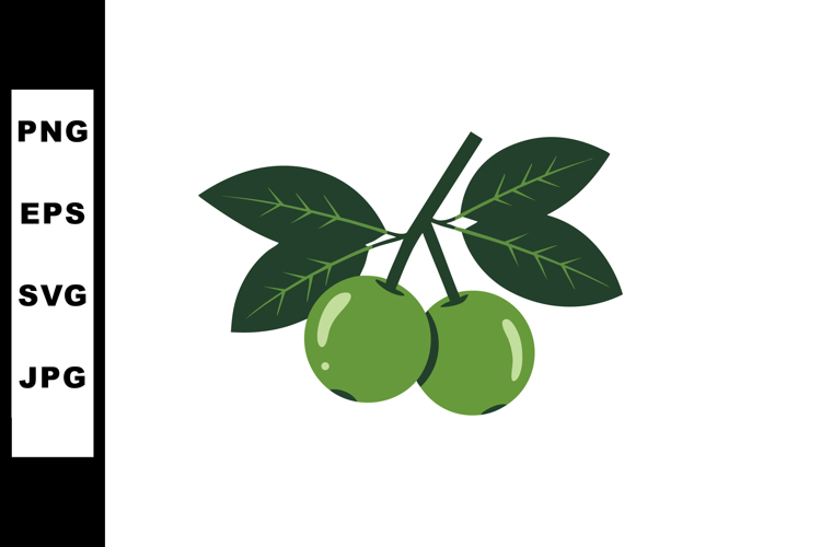 Olive Branch Vector Image 7