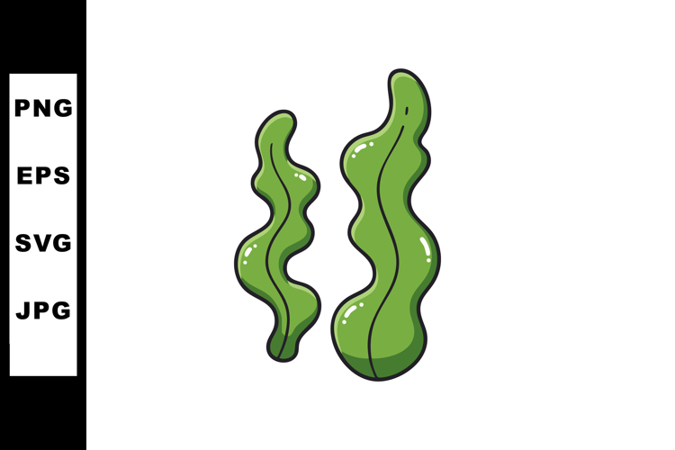 Seaweed Illustration Image 20
