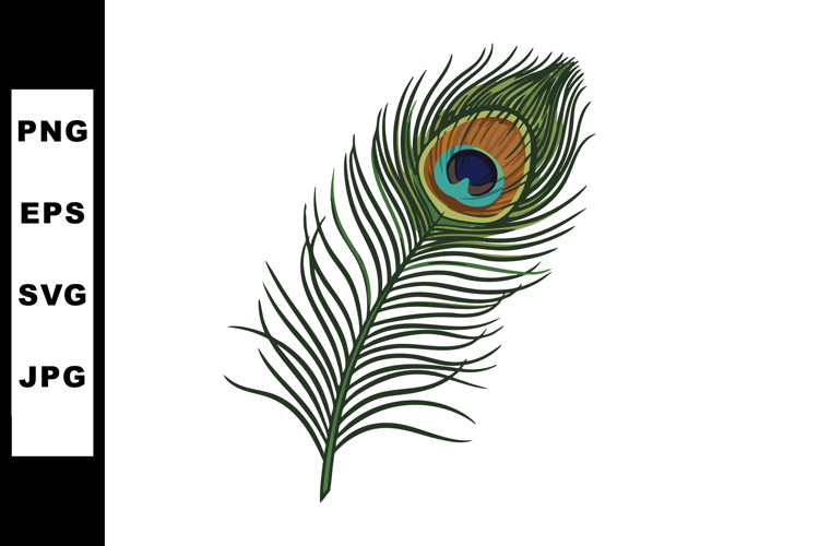 Peacock Clipart Image 4